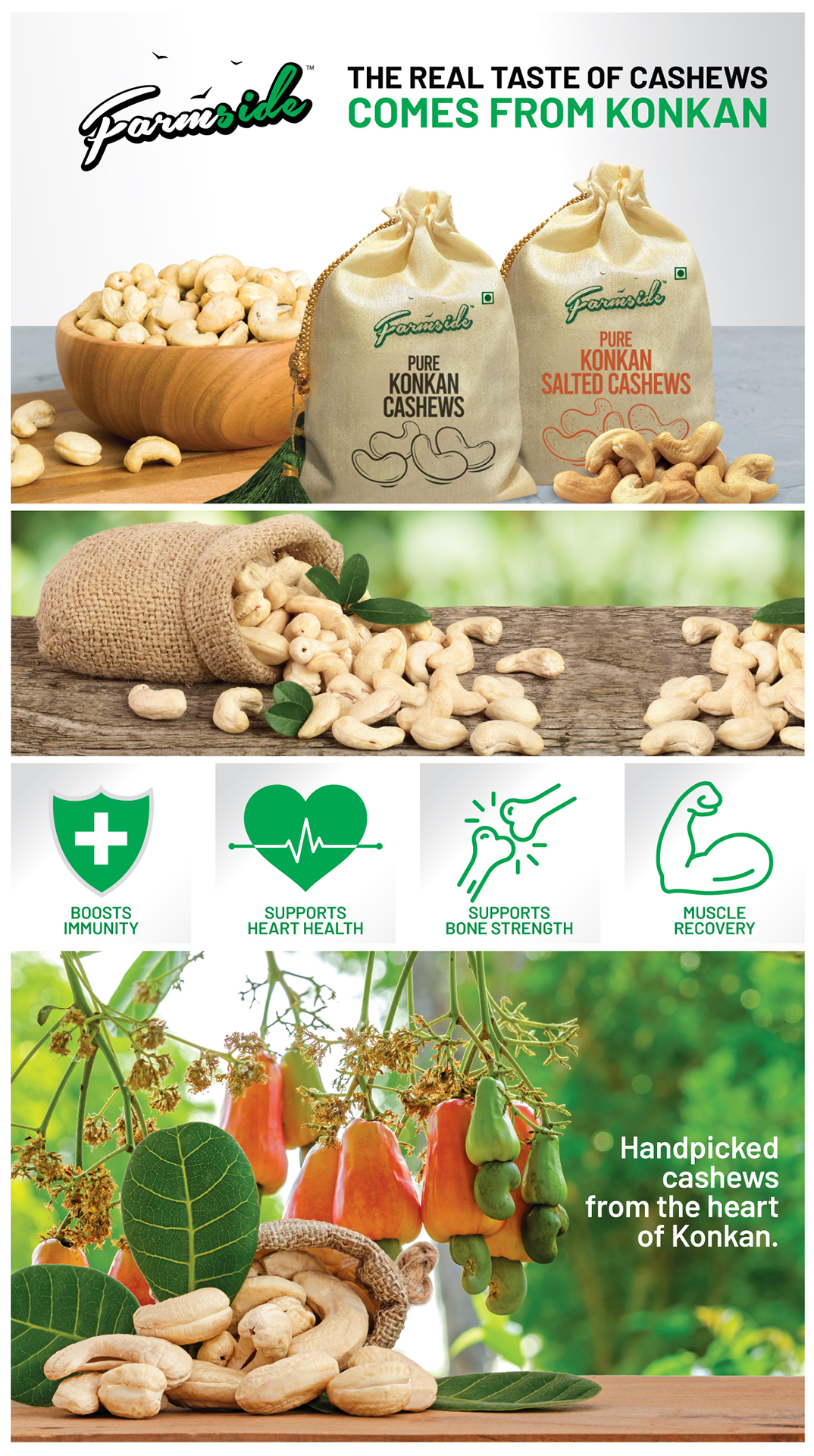 Farmside Konkan Cashews A+ Content